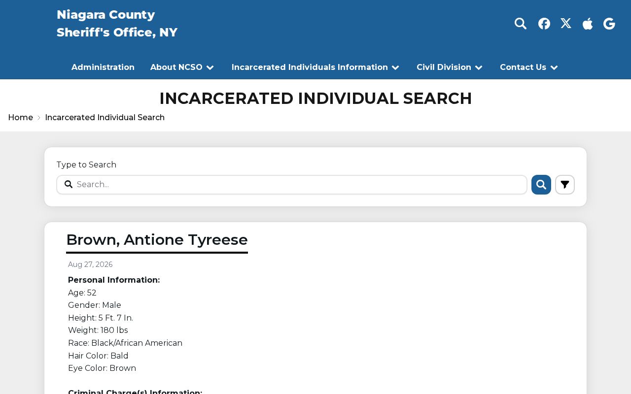 Niagara County current custody booking roster search